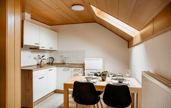 1-bedroom suite kitchen